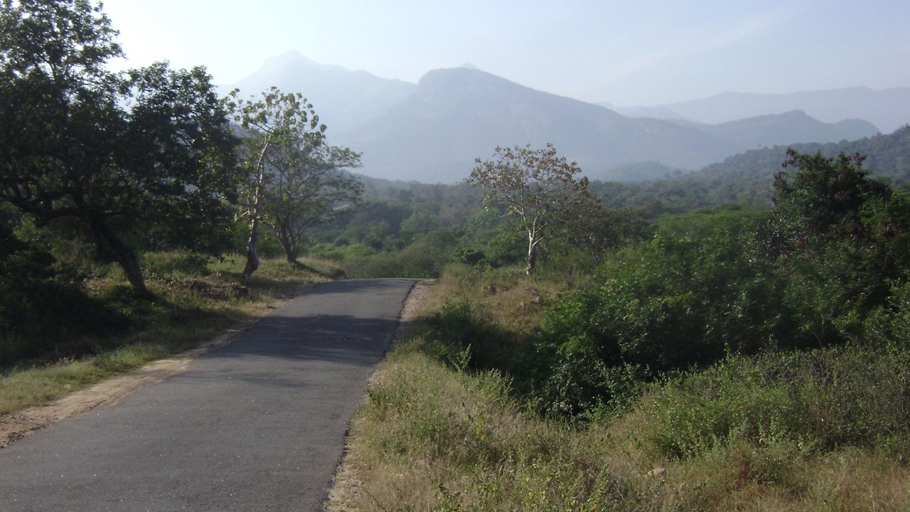 Photo of Outdoor in Anaimalai
