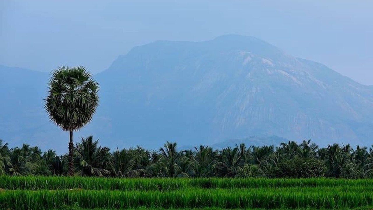 Photo of Outdoor in Anaimalai