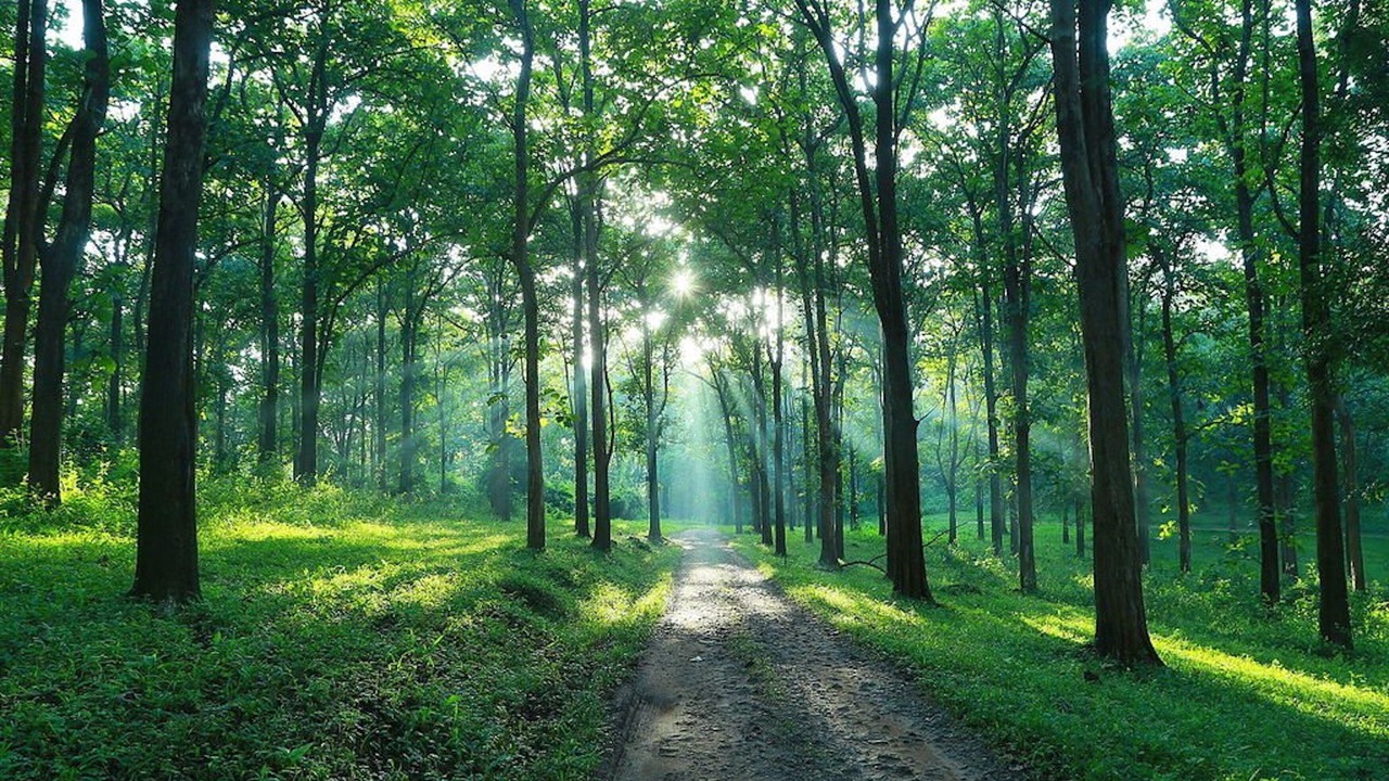 Photo of Outdoor in Anaimalai