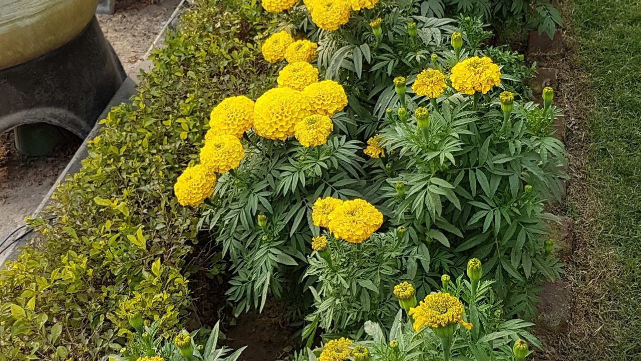 Photo of Outdoor in Daronda