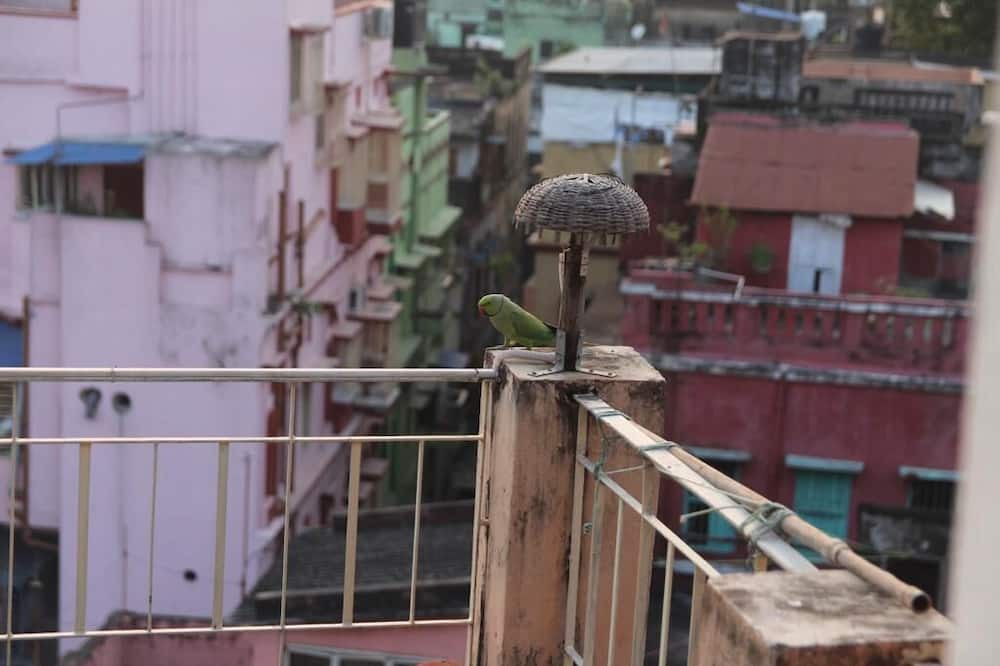 Photo of Patio Balcony in Kolkata