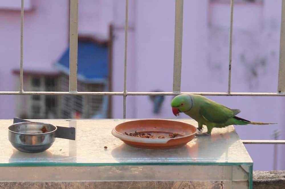 Photo of Others in Kolkata