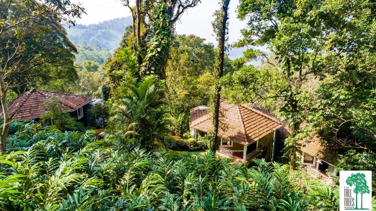 Photo of Outdoor in Munnar