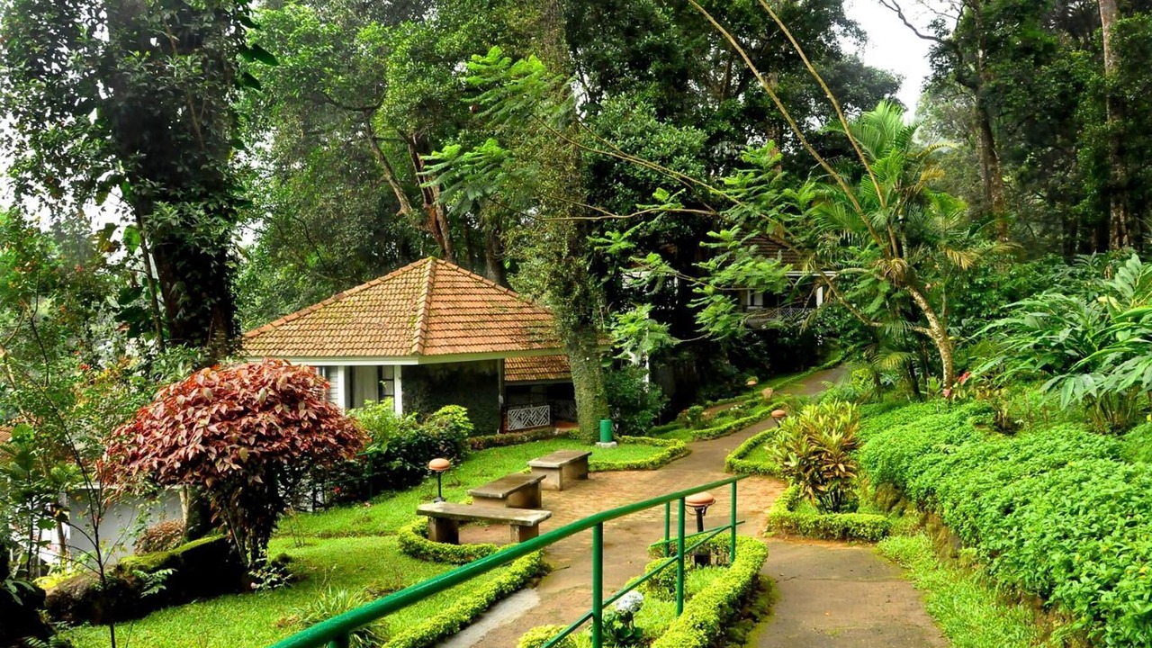 Photo of Outdoor in Munnar