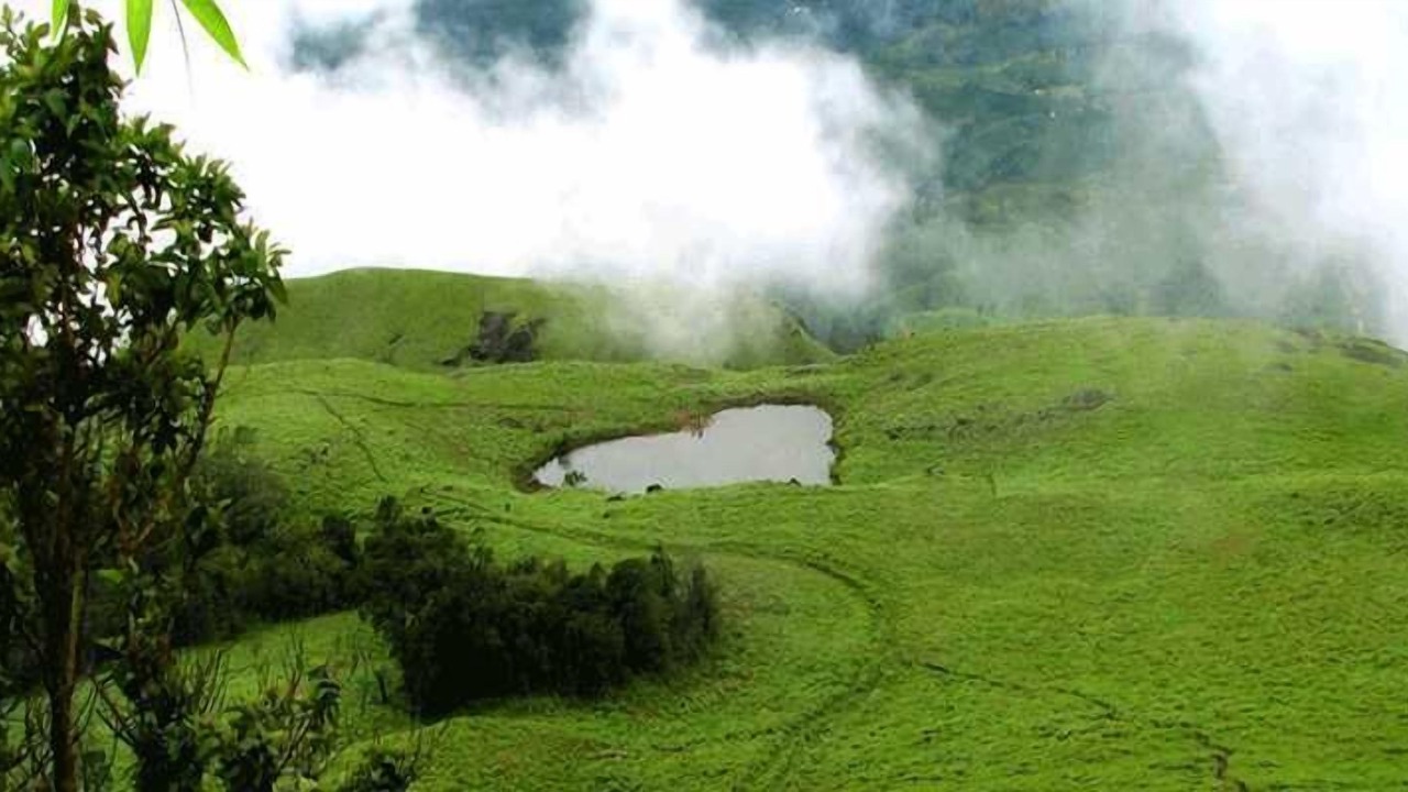 Photo of Others in Sulthan Bathery