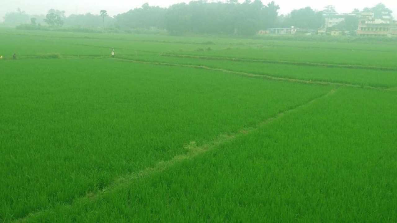 Photo of Outdoor in Uttamapalaiyam