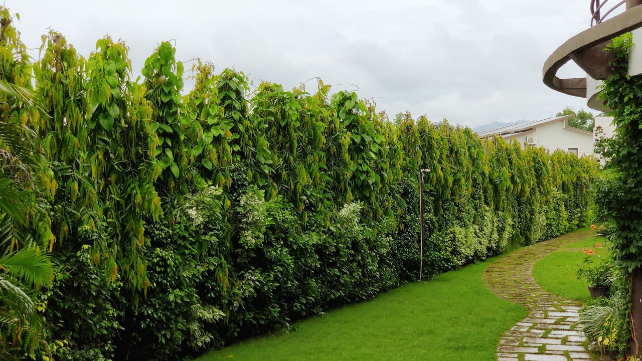 Photo of Outdoor in Ramnagar
