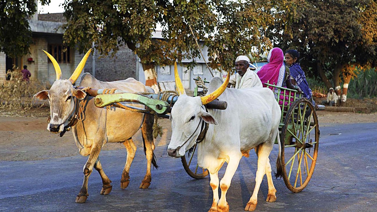 Photo of Others in Alwarpet