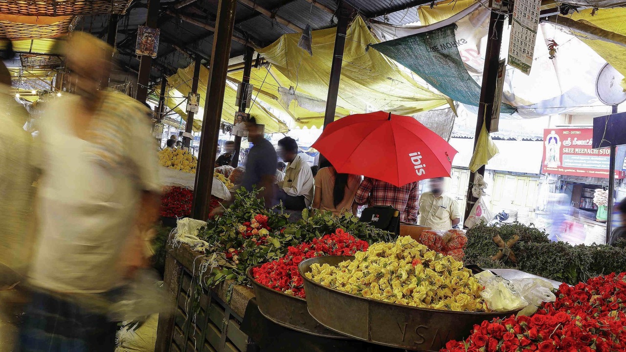 Photo of Others in Alwarpet