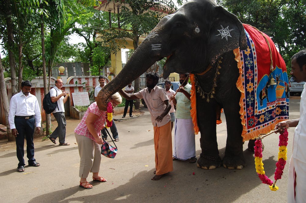 Photo of Others in Kumbakonam