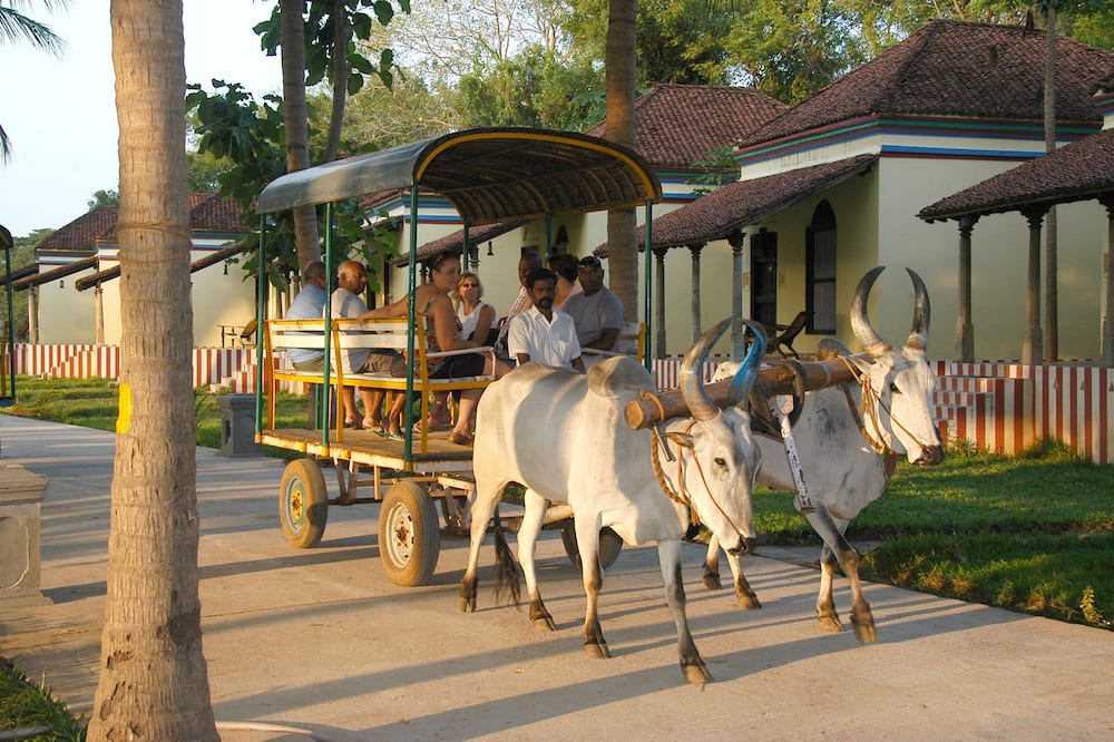 Photo of Others in Kumbakonam