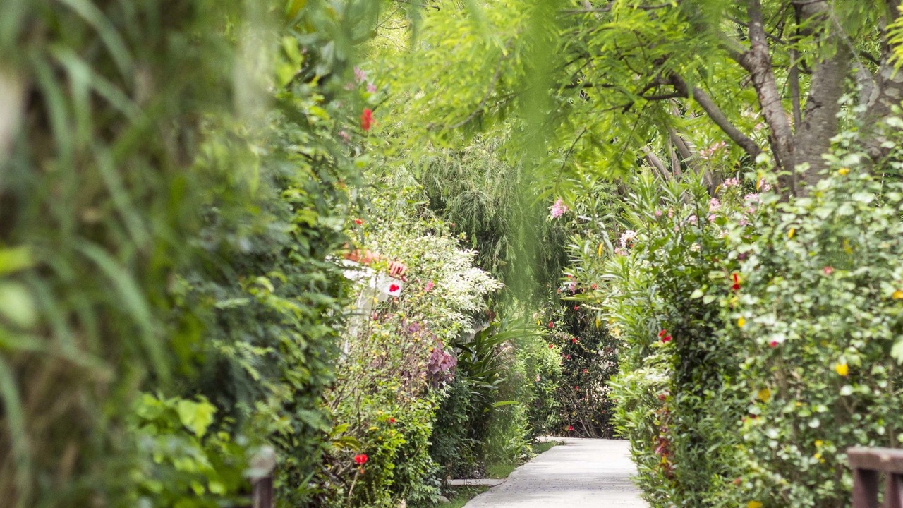 Photo of Outdoor in Garjia