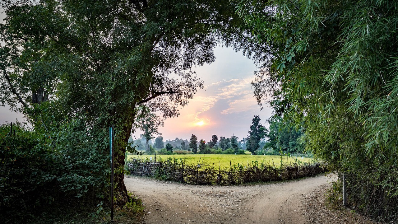 Photo of Outdoor in Tala