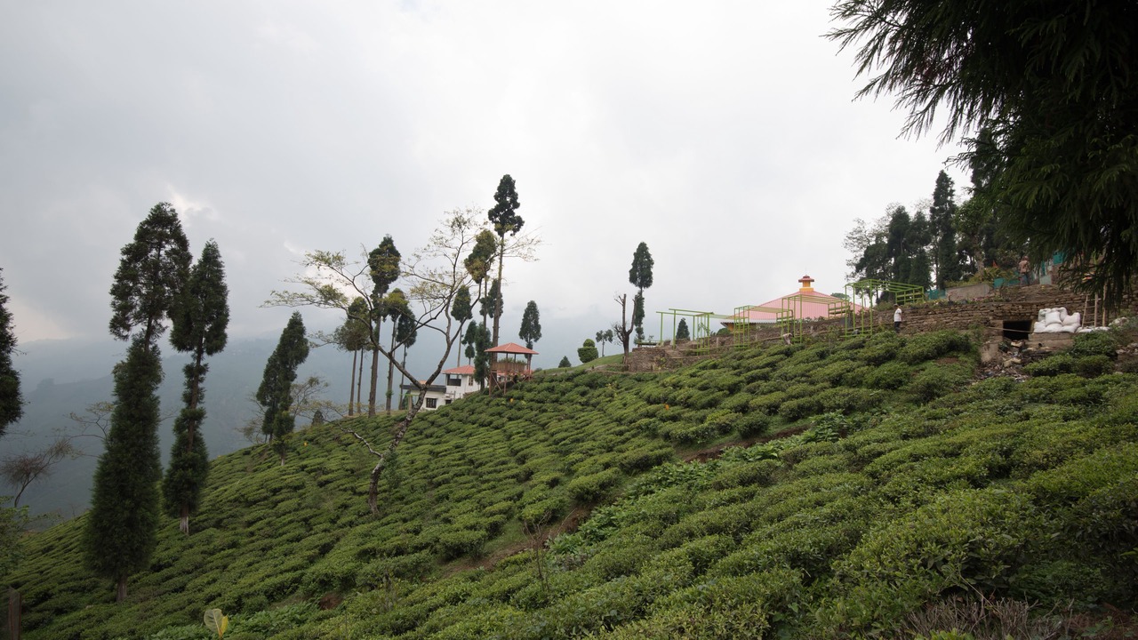 Photo of Outdoor in Kayiavir Plungdung