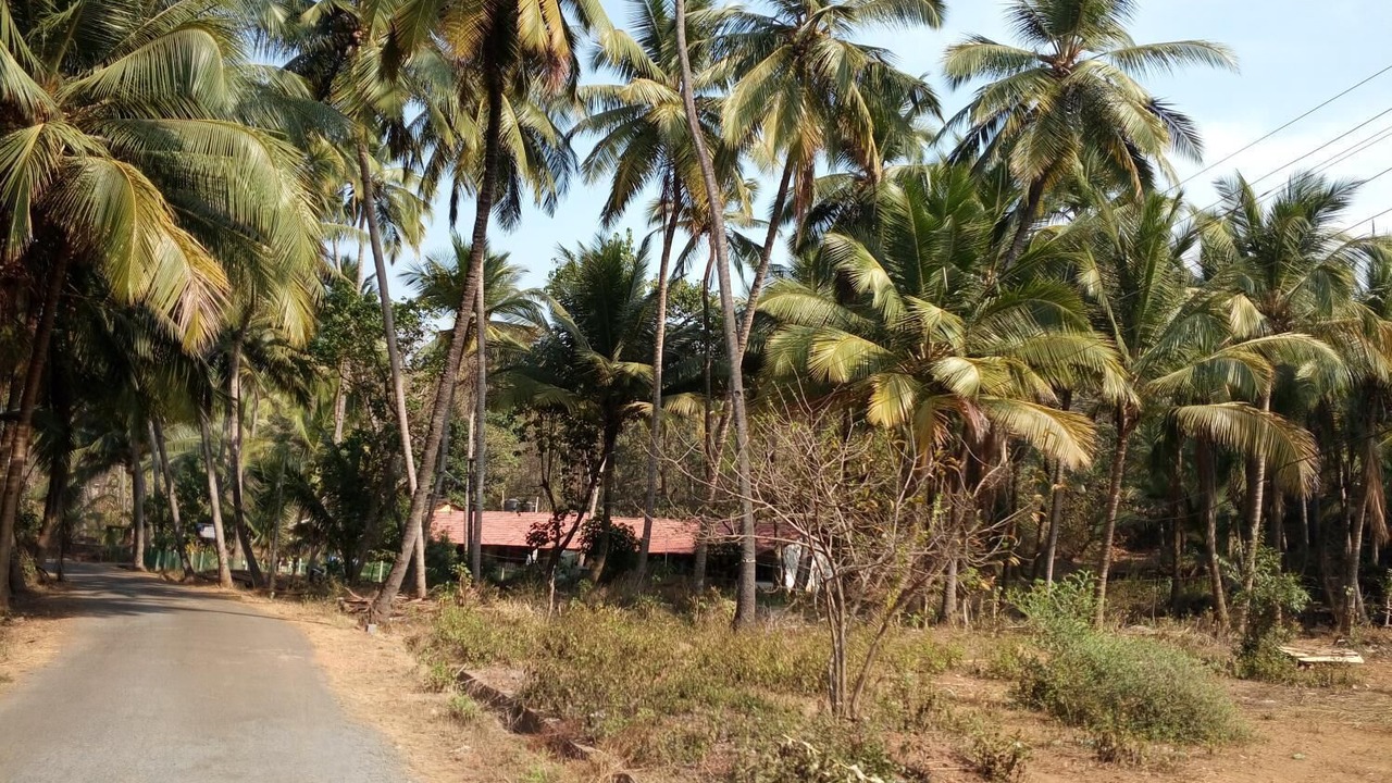 Photo of Outdoor in Marmagao