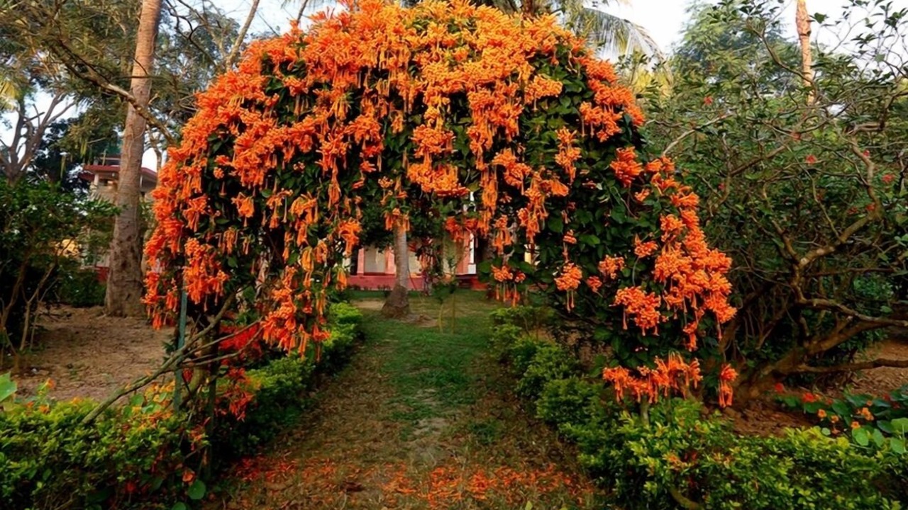Photo of Outdoor in Bolpur