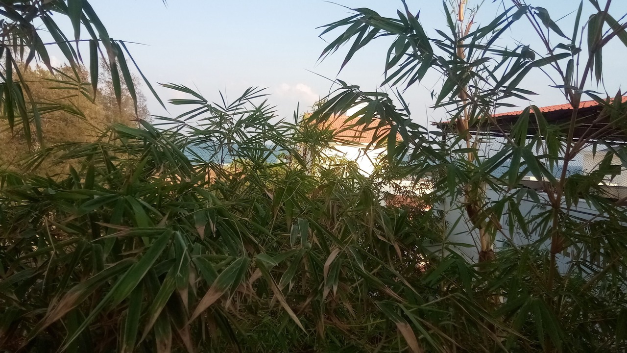 Photo of Outdoor in Mahabalipuram Beach
