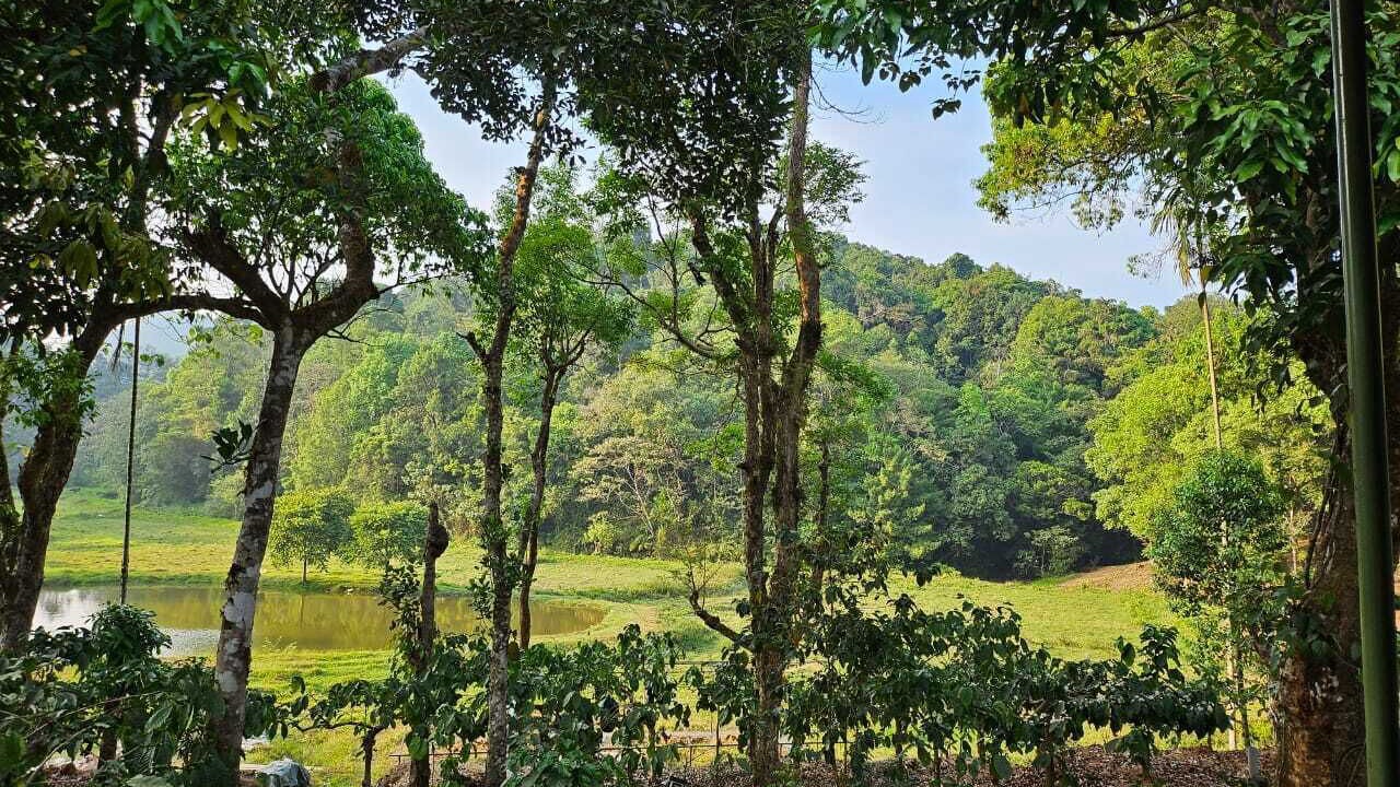 Photo of Outdoor in Madikeri