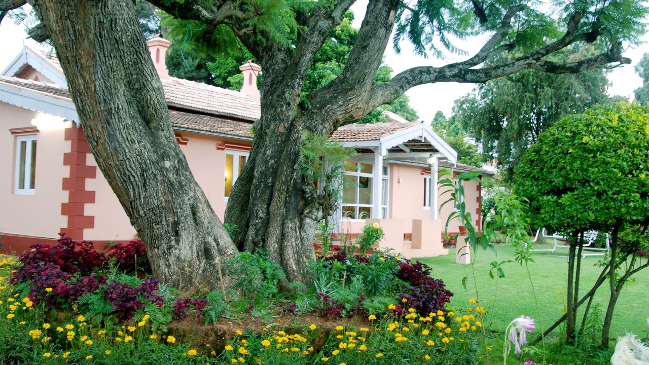 Photo of Outdoor in Coonoor