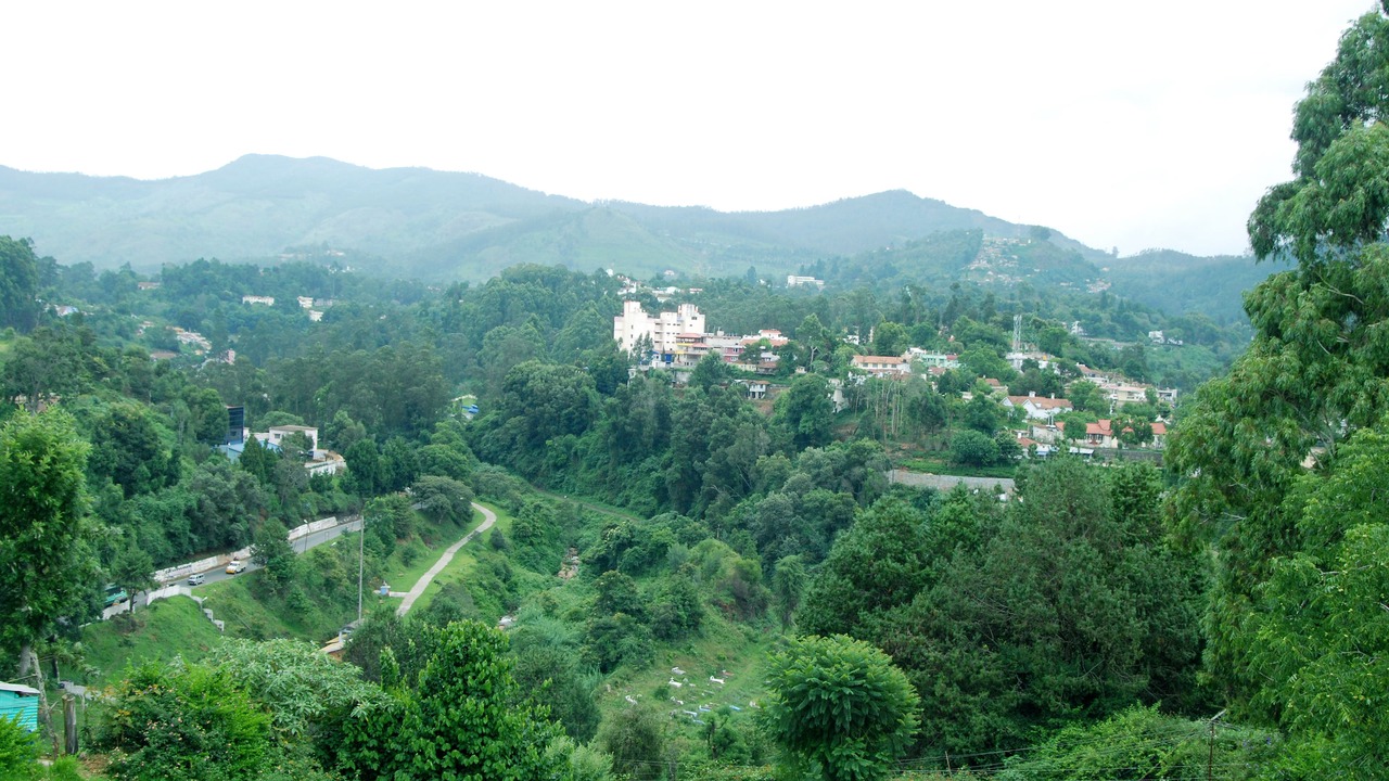 Photo of Others in Coonoor