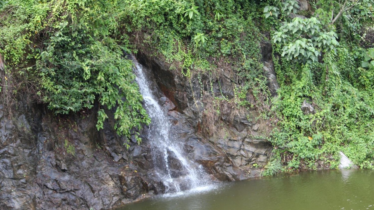 Photo of Outdoor in Athirapally