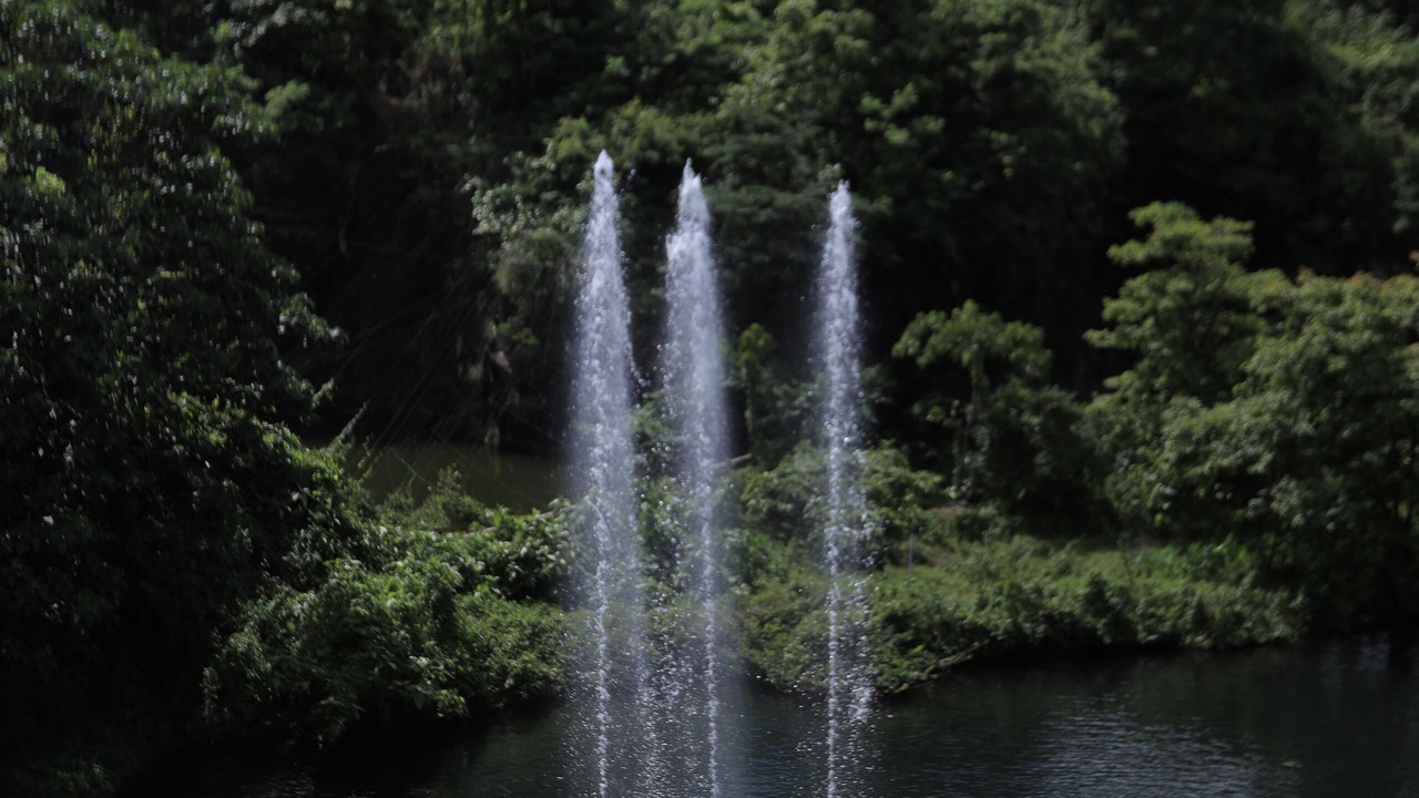 Photo of Outdoor in Athirapally