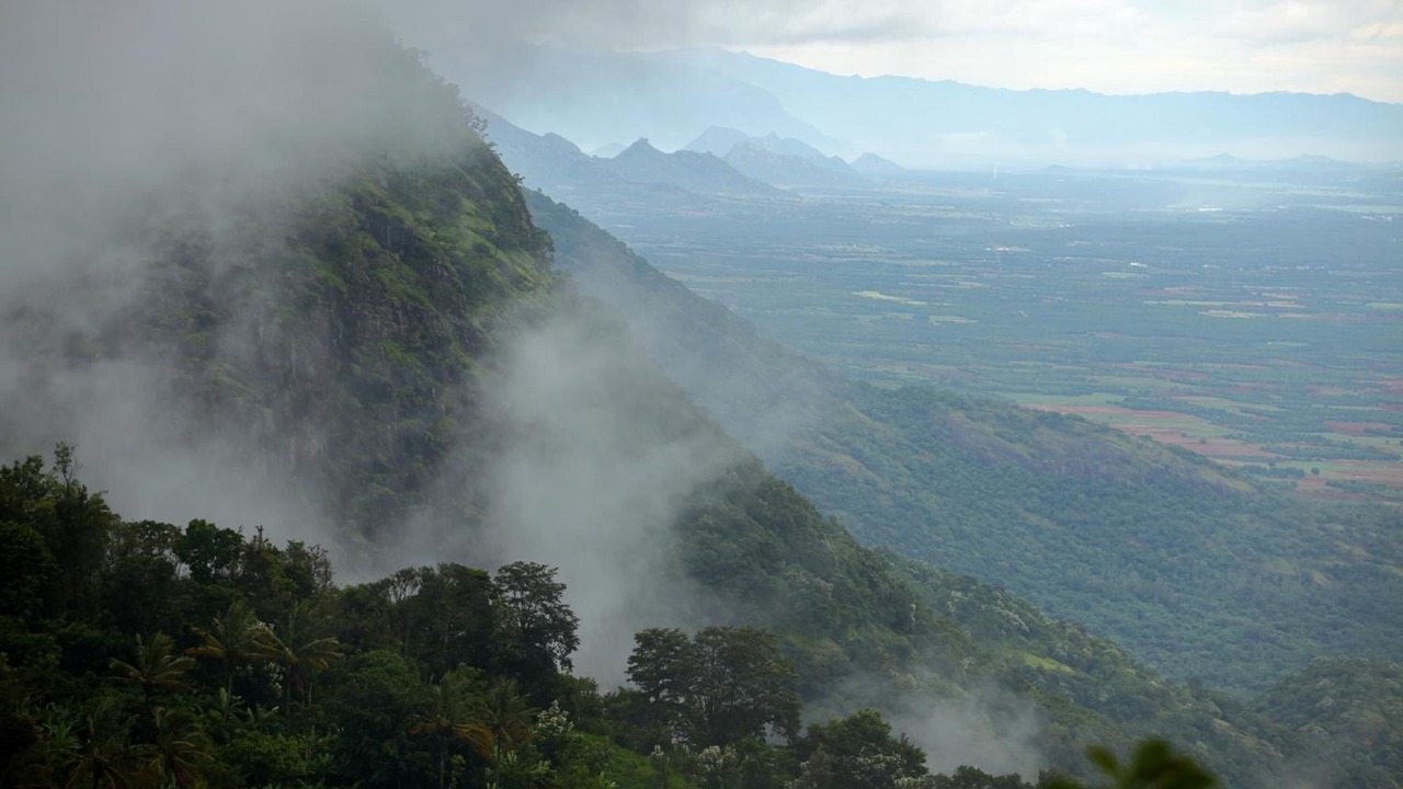 Photo of Others in Thekkady
