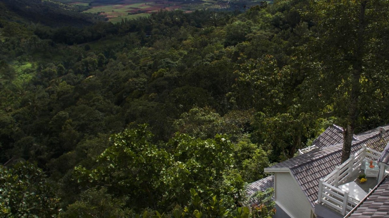 Photo of Outdoor in Thekkady