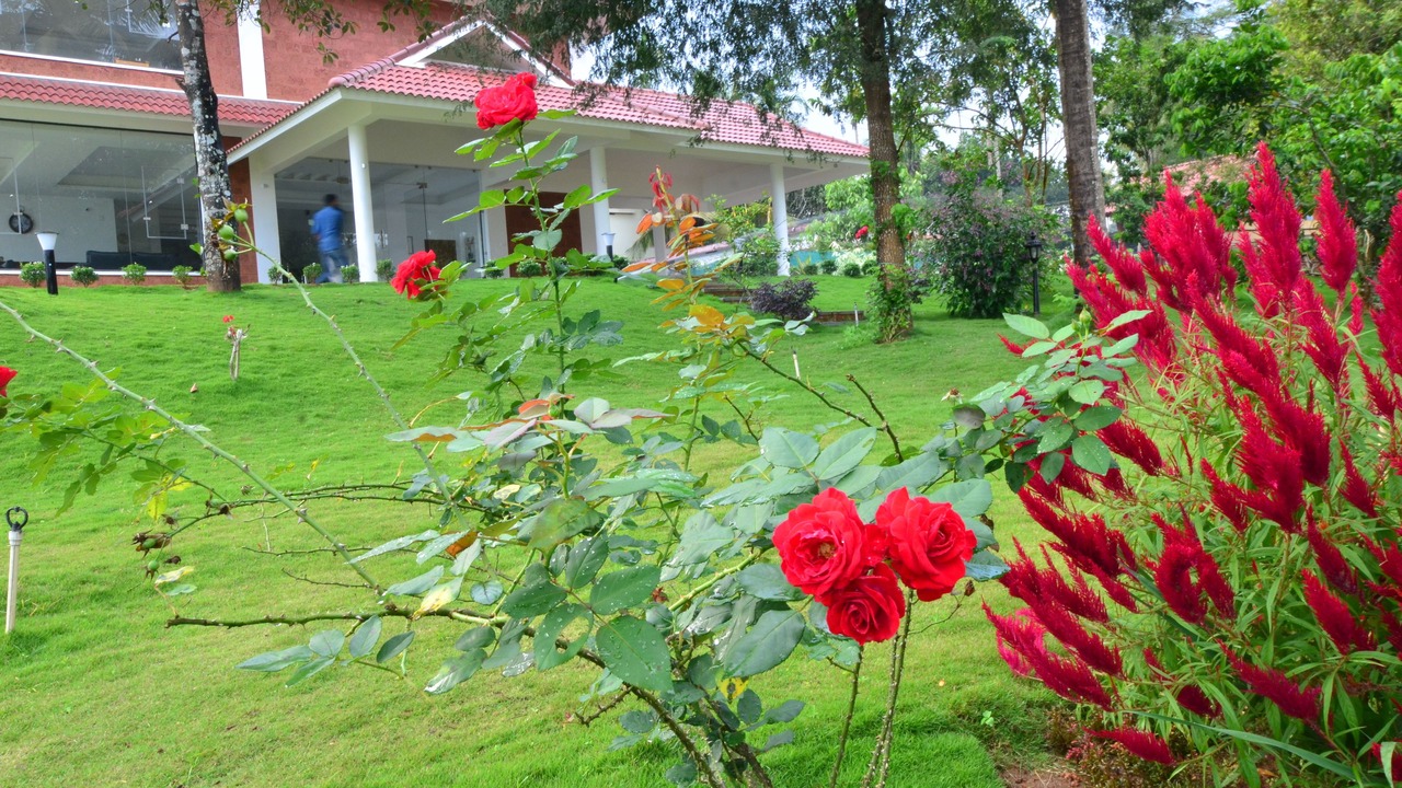 Photo of Outdoor in Vazhavatta