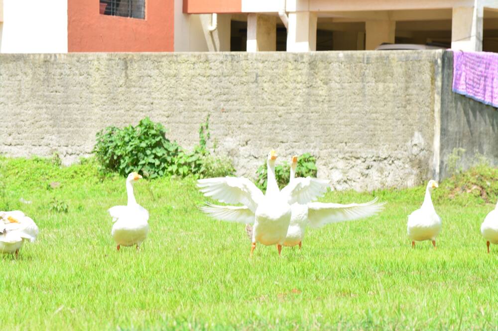 Photo of Outdoor in Trimbak