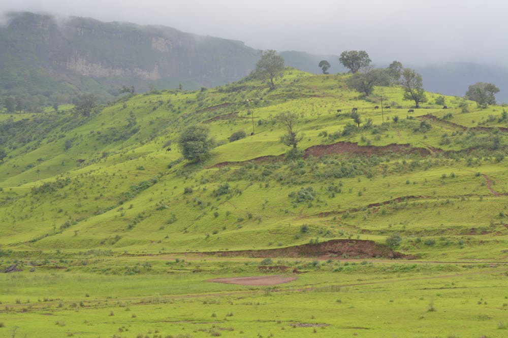 Photo of Outdoor in Trimbak