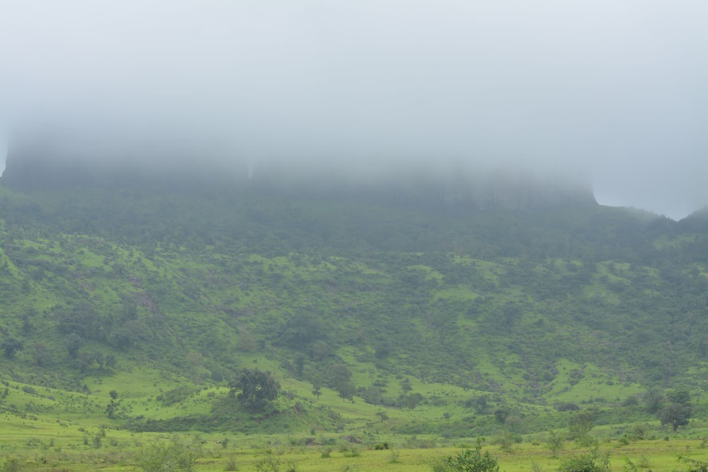 Photo of Outdoor in Trimbak