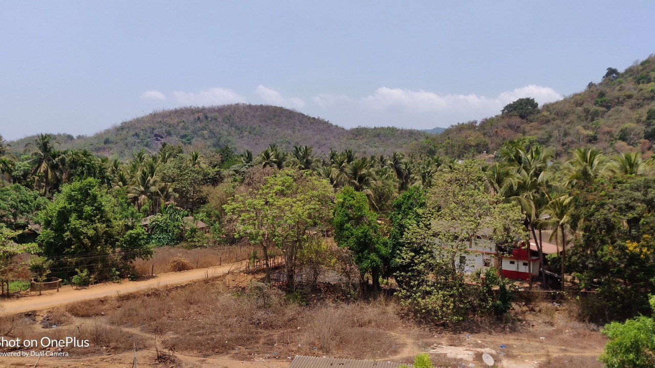 Photo of Outdoor in Palolem