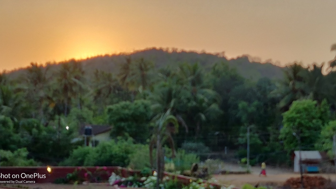 Photo of Outdoor in Palolem