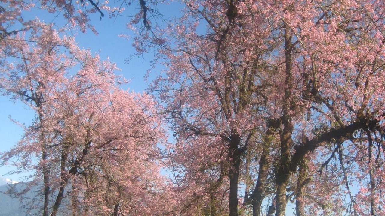 Photo of Outdoor in Turuk