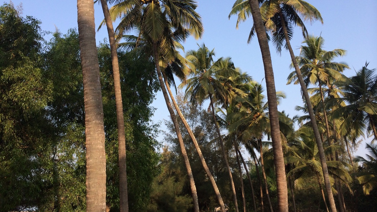 Photo of Outdoor in Kumta