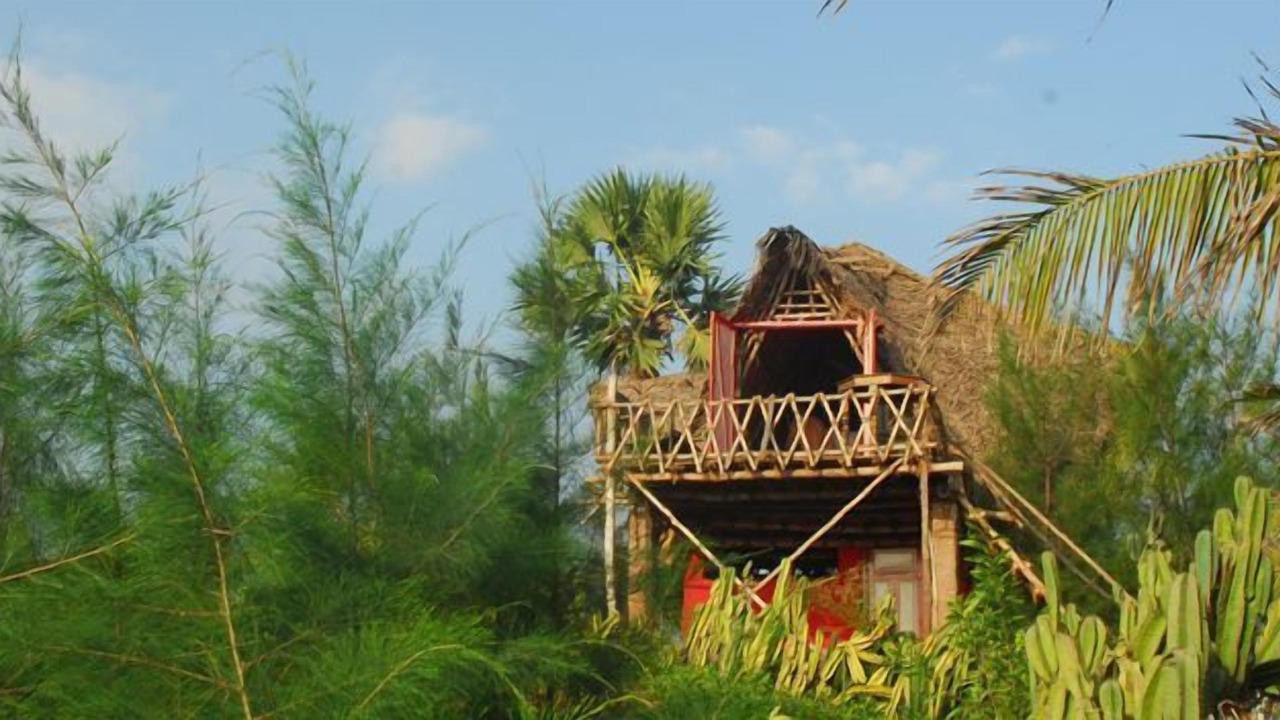 Photo of Outdoor in Manjakuppam