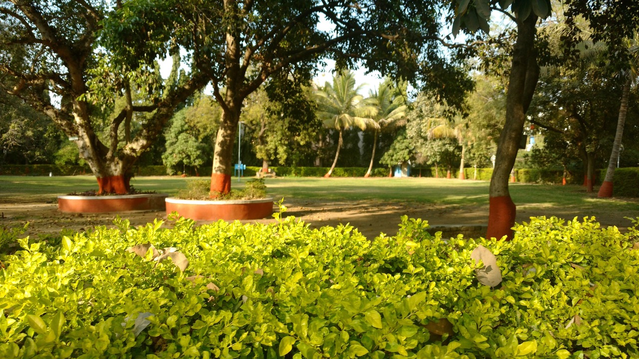Photo of Others in Cidco