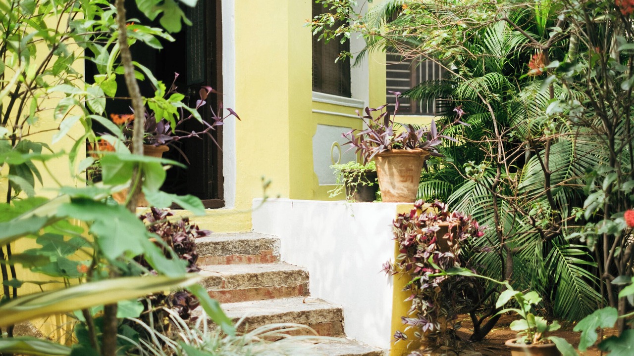 Photo of Outdoor in Lakshmipuram