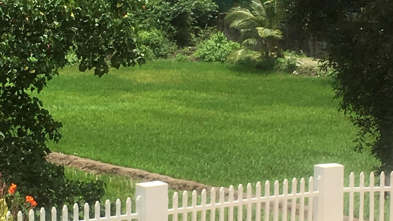 Photo of Outdoor in Sinquerim