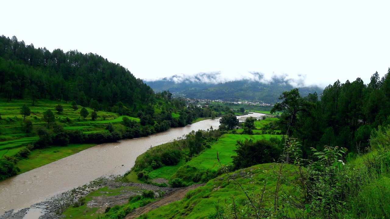 Photo of Others in Kausani