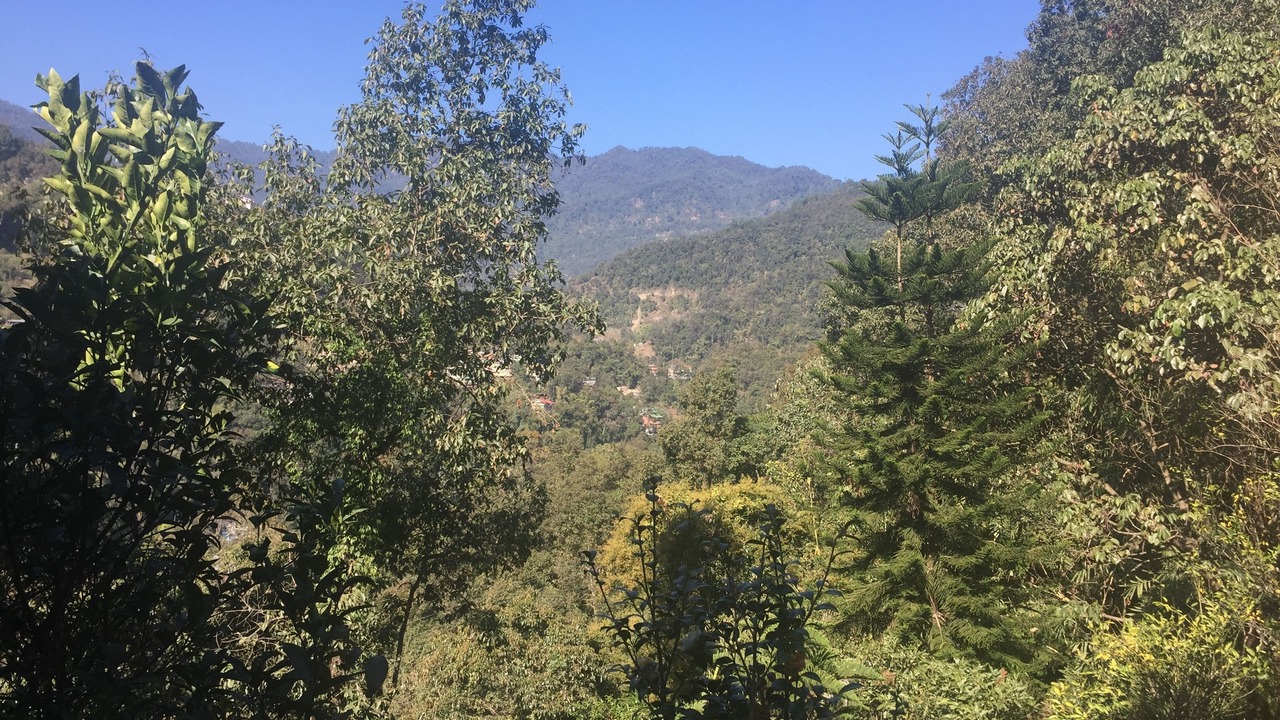 Photo of Others in Gangtok