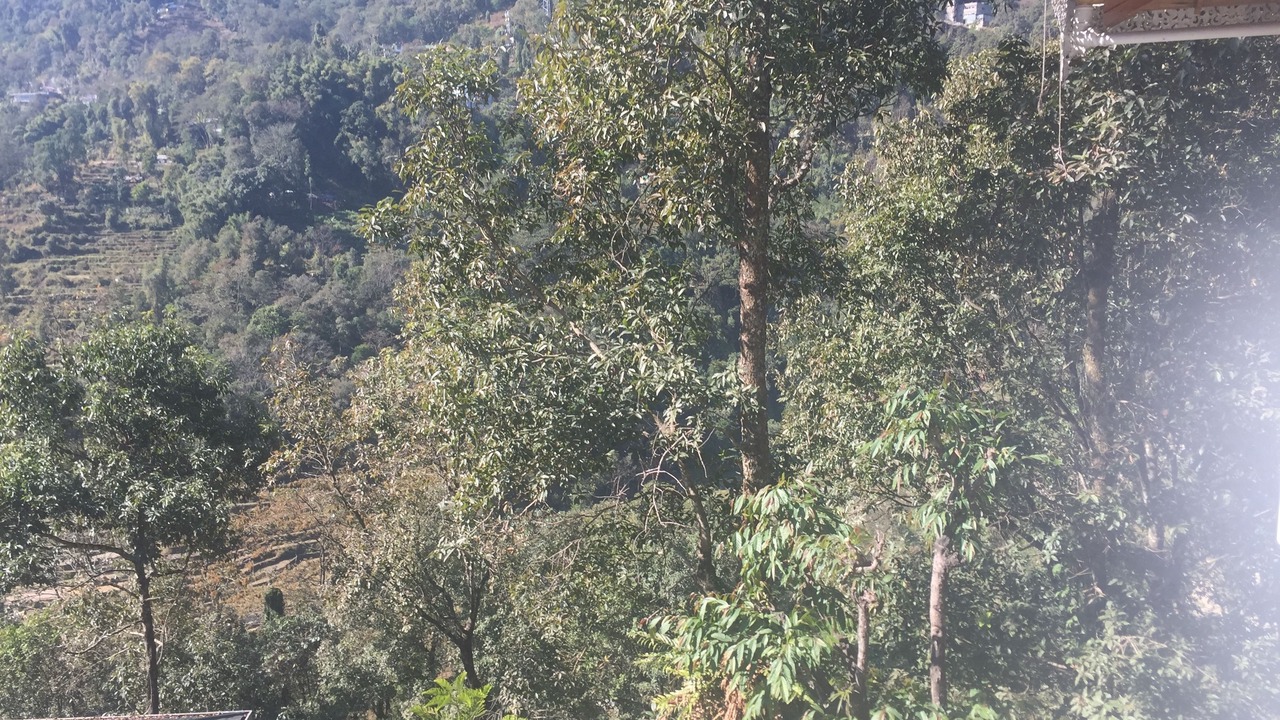Photo of Others in Gangtok