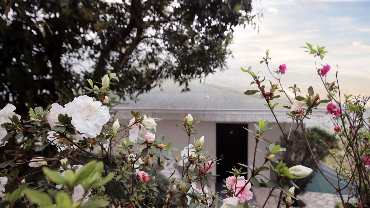 Photo of Outdoor in Gangtok