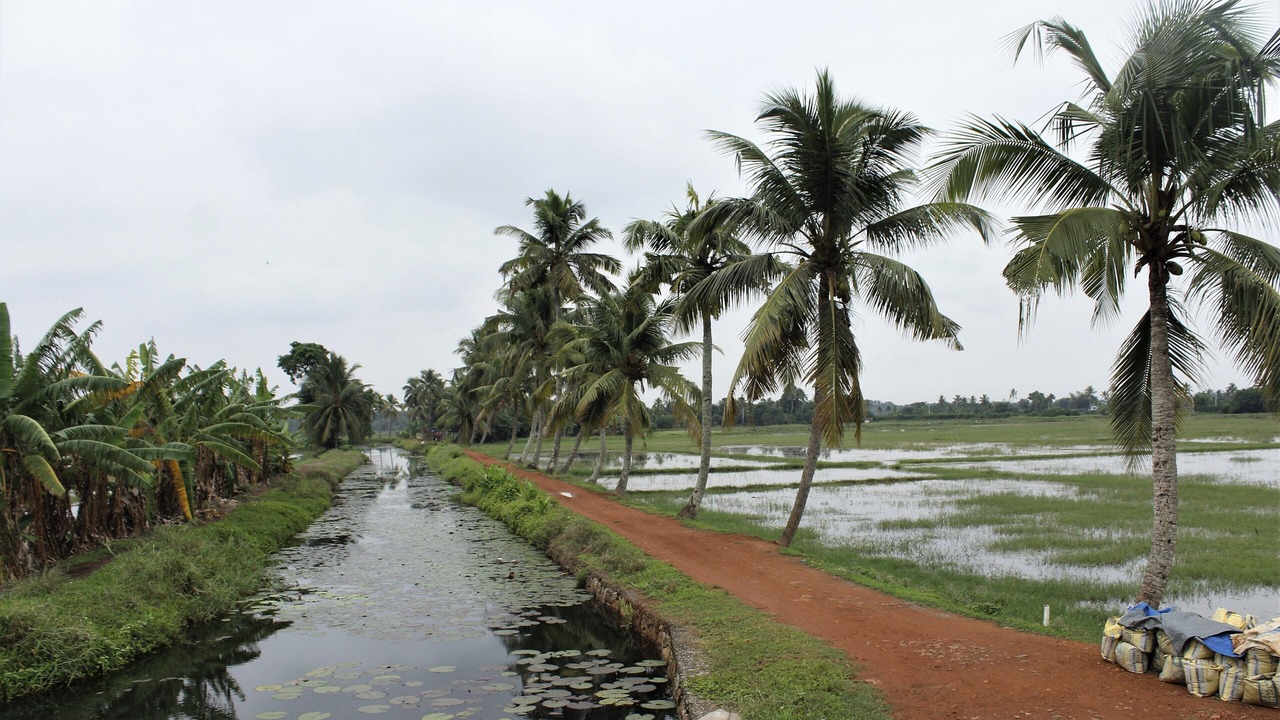 Photo of Outdoor in Vaikam