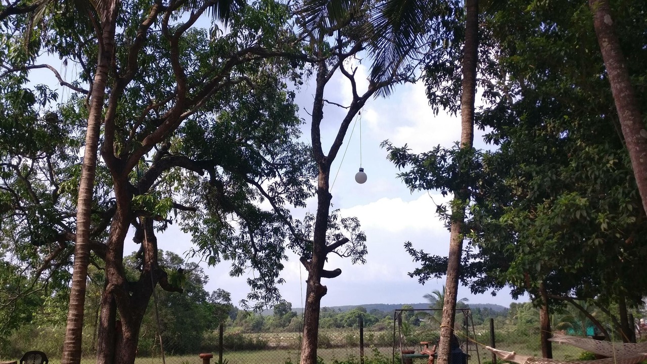 Photo of Outdoor in Parra