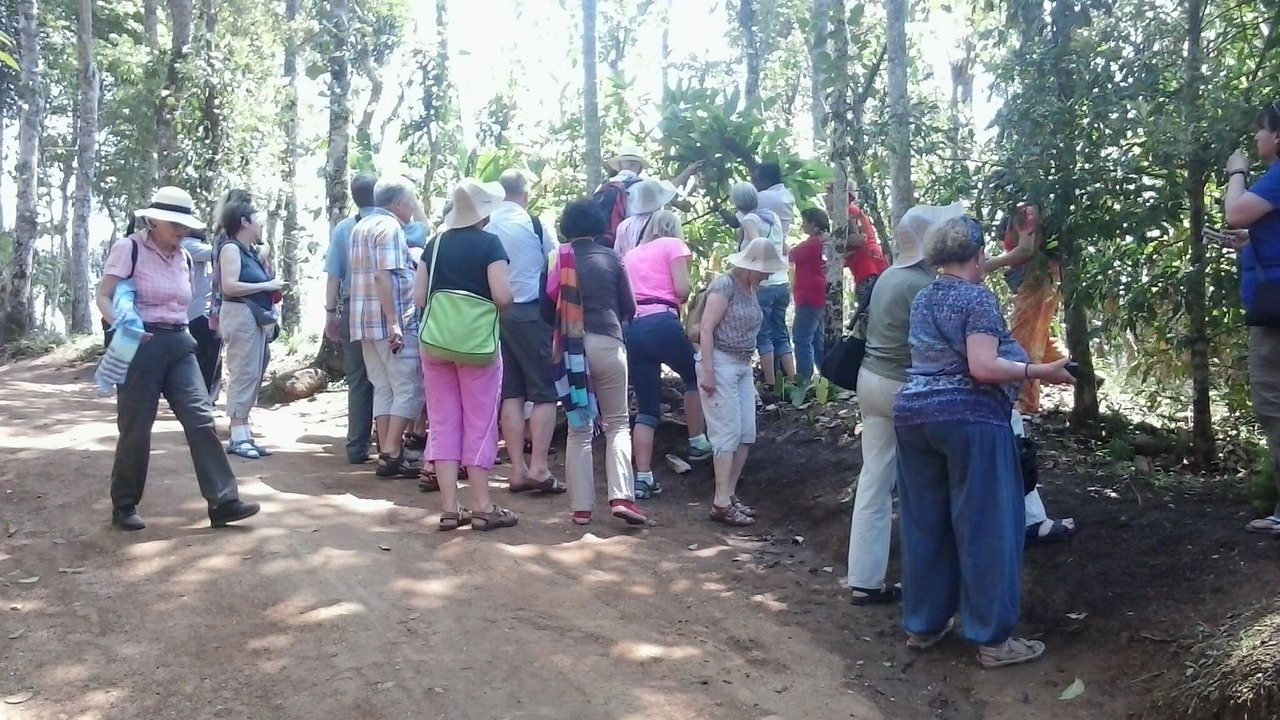 Photo of Outdoor in Pirmed
