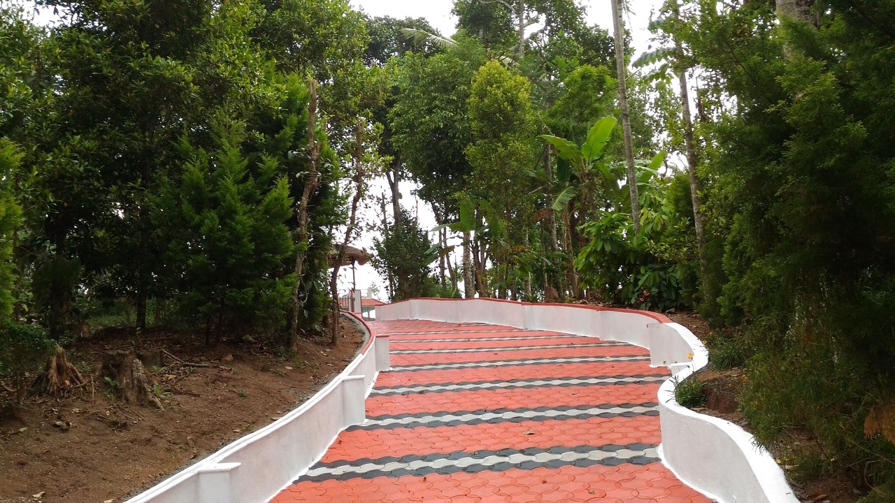 Photo of Outdoor in Pirmed