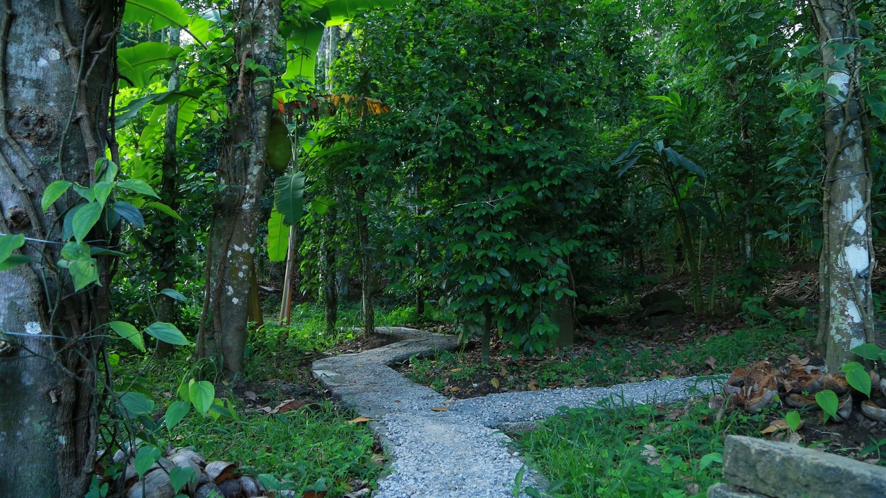 Photo of Outdoor in Pirmed