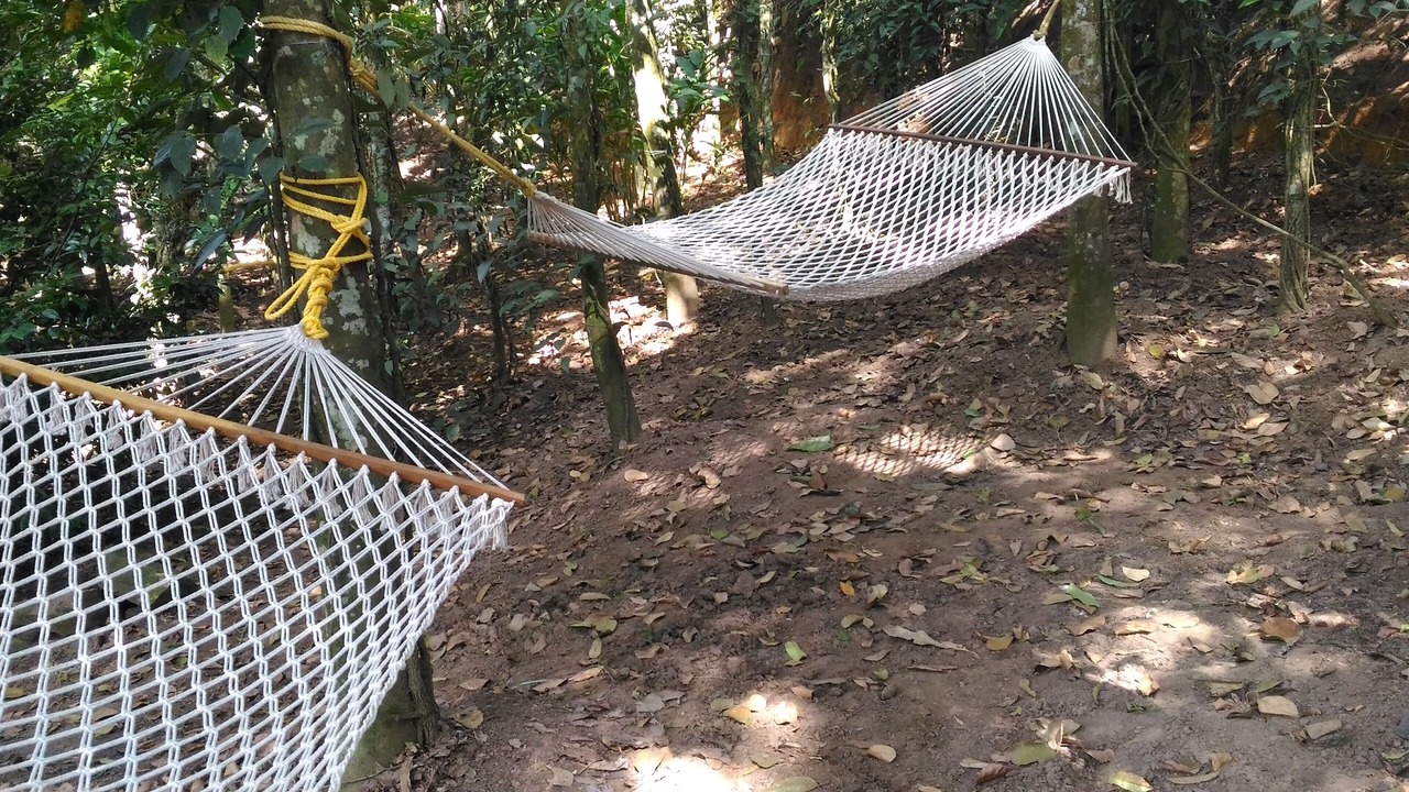 Photo of Outdoor in Pirmed
